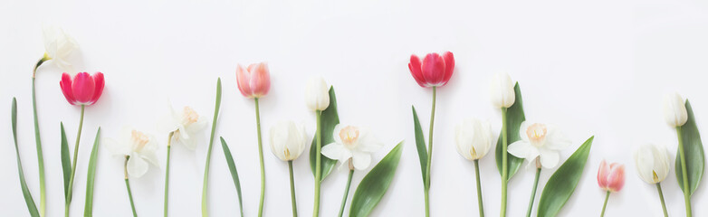 spring flowers on white background
