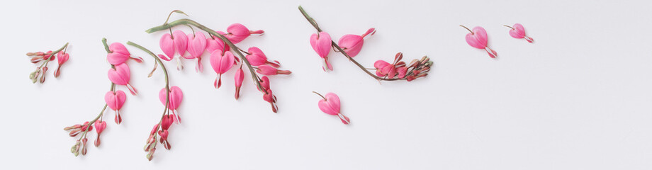 pink flowers on white background