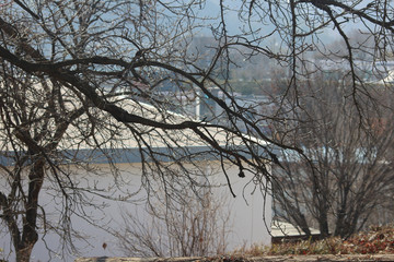 마을 근처 겨울나무가지