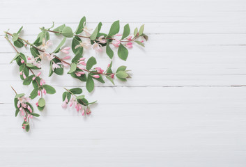 branches of  bush with pink flowers on wooden background