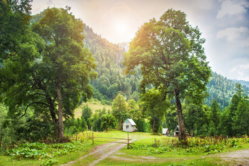 Traditional wooden mountain house on a green field in summer