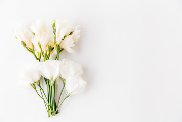 creative composition of white flowers.flat lay.flower background.minimalistic style
