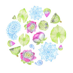 hand drawn watercolor composition in the form of a circle consisting of flowers and leaves of Lotus