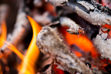 Obraz premium Ignite the fire. Warming up the cold winter nights. A macro shot of firewood, white dust and hot, glowing coal. Burning branches and wood. Flames in the fireplace, cozy home, warmth, love, romantic 
