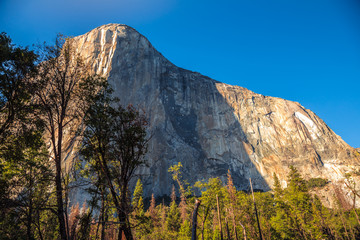 El Capitan, Yosemite National Park, California 