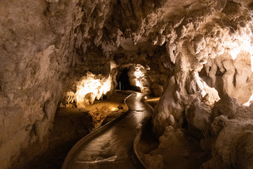 Waitomo Caves