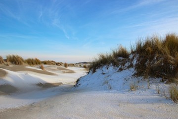 Naklejka premium Snow on the Beach