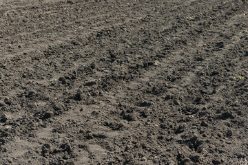 Plowed land with furrow lines. Photos of chernozem.