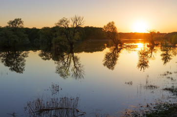 River overflowed and flooded the forest and flowering meadows. Bright sundown and woods reflected in the water. Beautiful spring rural landscape in calm evening, ukrainian scenery
