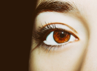 A beautiful insightful look woman's eye. Close up shot