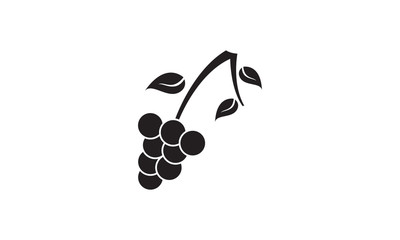 Wine vector