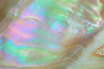 Close up background of Mother of pearl sea shell