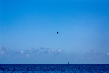 Laboe