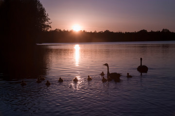 Abendstimmung am Heidesee in Bottrop