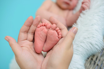 Legs of the newborn baby in mother's hands