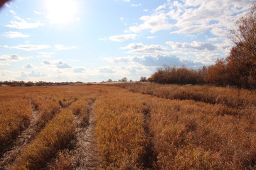 Fototapeta premium sky sunset autumn clouds