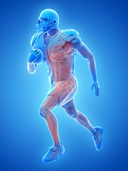 3d rendered medically accurate illustration of the muscle system of an american football player