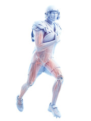 3d rendered medically accurate illustration of the muscle system of an american football player