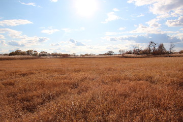 Obraz premium sky sunset autumn clouds