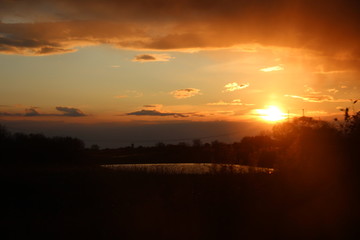 beautiful sunset, no processing, wildlife, reed, sky, sun