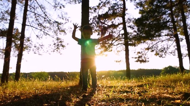 Happy little boy frolic in the park or forest at sunset. The child plays with the leaves, throwing them up. Silhouette of a child.