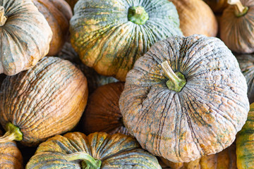Close-up Of Pumpkins yellow and green skin for sale at local market.