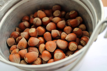 Freshly picked Hazelnuts in a bucket