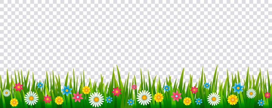 Bright Realistic Pattern Of Green Grass And Spring Flowers For Decorating Easter Cards, Banner. Vector Icon Isolated