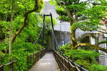 橋