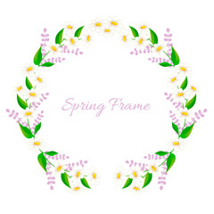 Spring frame with daisies