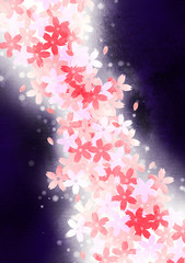 夜桜背景