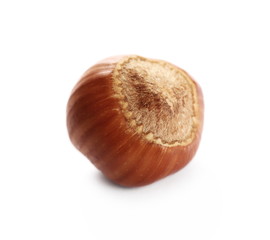 Hazelnut isolated on white background