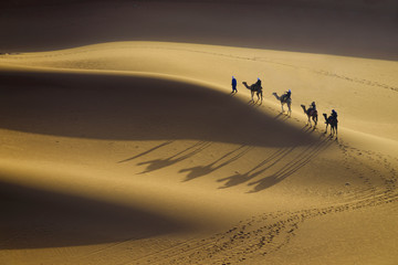 Camel caravan in sand desert