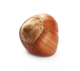 Hazelnut isolated on white background