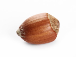 Hazelnut isolated on white background