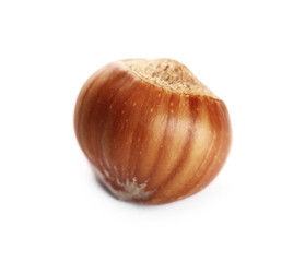 Hazelnut isolated on white background
