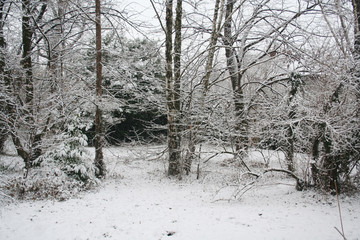 Home garden covered by snow in winter season