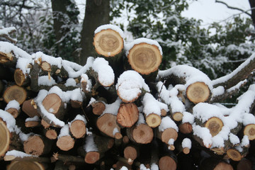 Pile of firewood covered by snow in the garden in winter season.