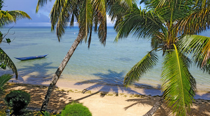 Fototapeta na wymiar Palm trees and Pirogue, Sainte Marie Island, Madagascar