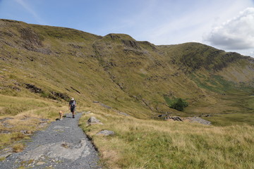 Man and Dog Walking on Mountain Cwmorthin Snowdonia