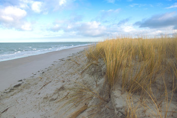landscape at baltic sea with dune