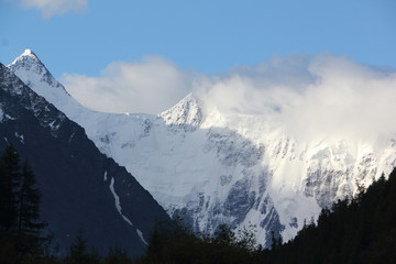 Fototapeta na wymiar View of Mt Belukha Katunsky Ridge, Altai Mountains, Russia