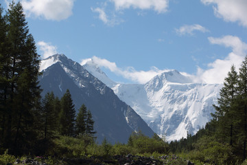 View of Mt Belukha Katunsky Ridge, Altai Mountains, Russia