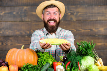 Grow organic crops. Community gardens and farms. Healthy lifestyle. Farmer hold corncob or maize...