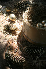 Golden eggs with Golden cones