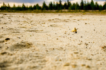 Electric plug lying on the sand. Sandy wasteland, in the distance you can see the forest.