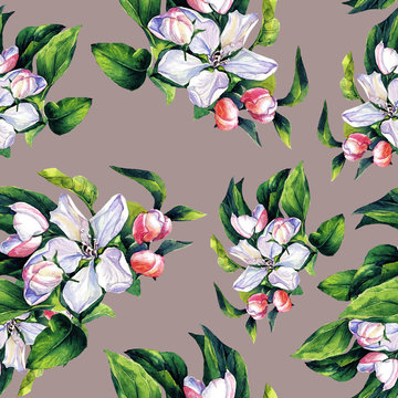 Floral spring seamless pattern. A branch of blooming Apple trees painted in watercolor.