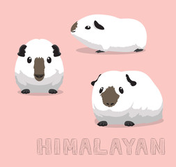 Guinea Pig Himalayan Cartoon Vector Illustration