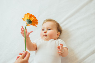 Beautiful baby lying on back reaching for a flower on white blanket  