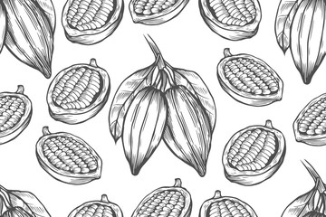 Vector Cocoa tree illustration